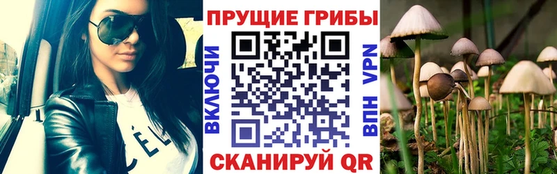 Галлюциногенные грибы мухоморы  Лермонтов 